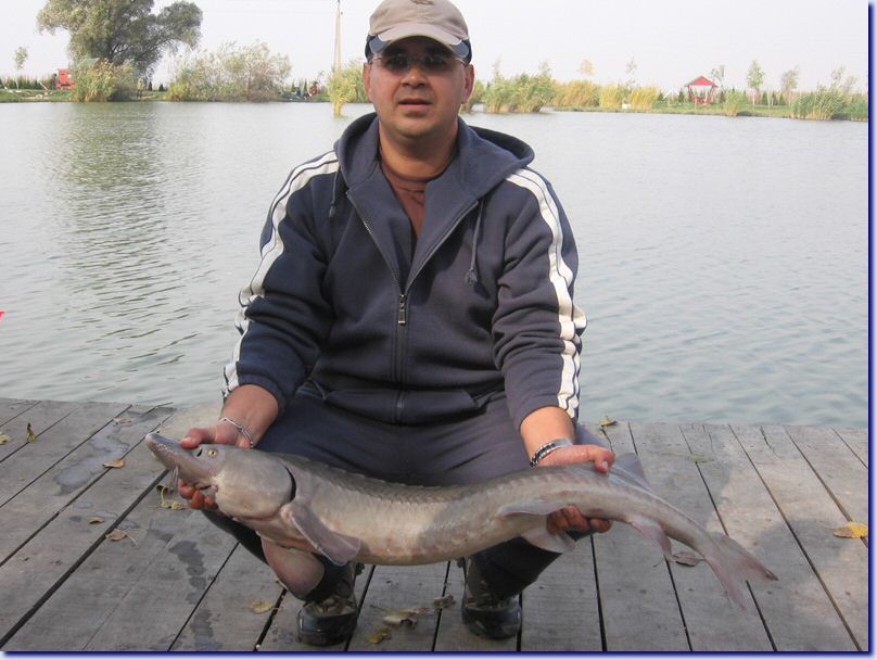 Kep 059.jpg